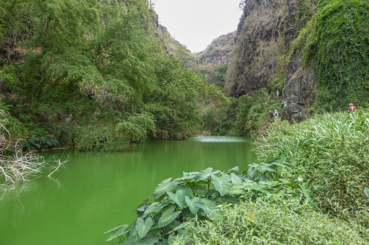 L'eau verte de la ravine du Bernica.