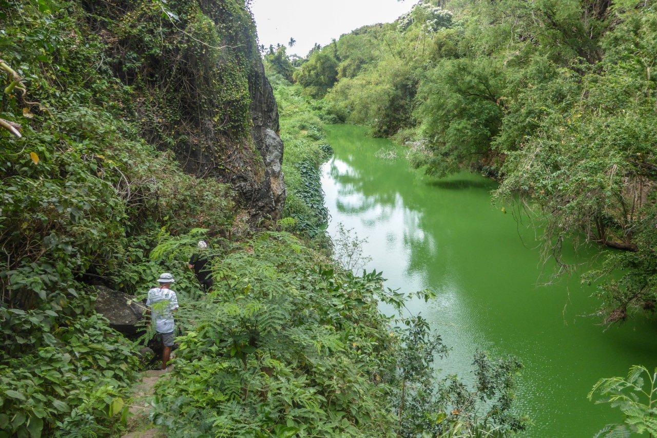 Sentier de la ravine du Bernica.