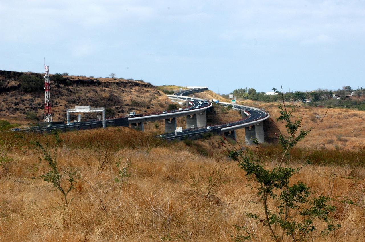 Savane du Cap La Houssaye avec la route des Tamarins.