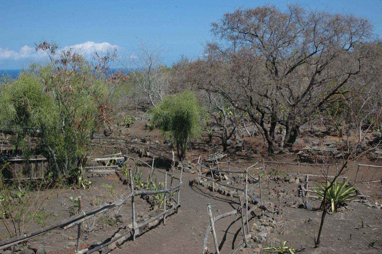 Espace aménagé par le forum social dans la savane du Cap La Houssaye