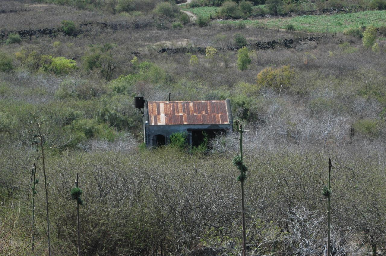 Moulin Kader dans la savane du Cap La Houssaye.