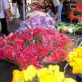 Marché de St Paul fleurs.