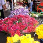 Marché de St Paul fleurs.