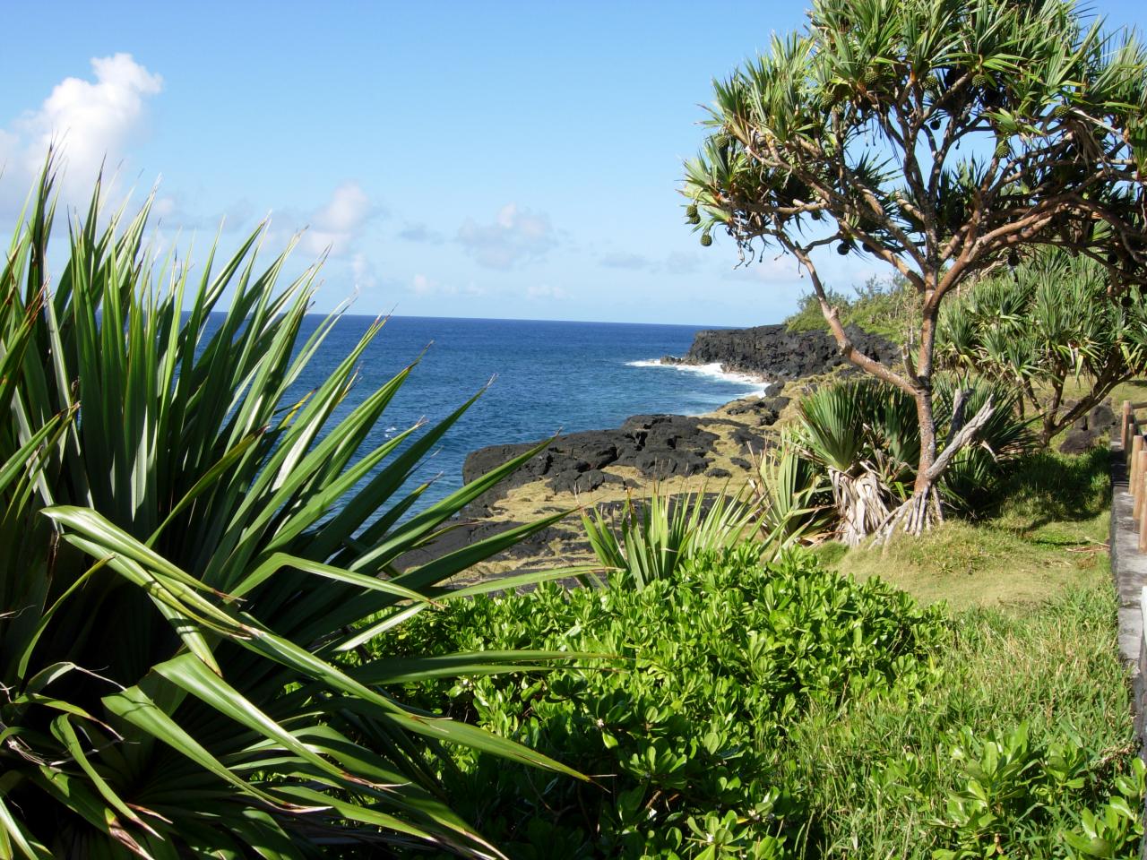 Le littoral à St Philippe.