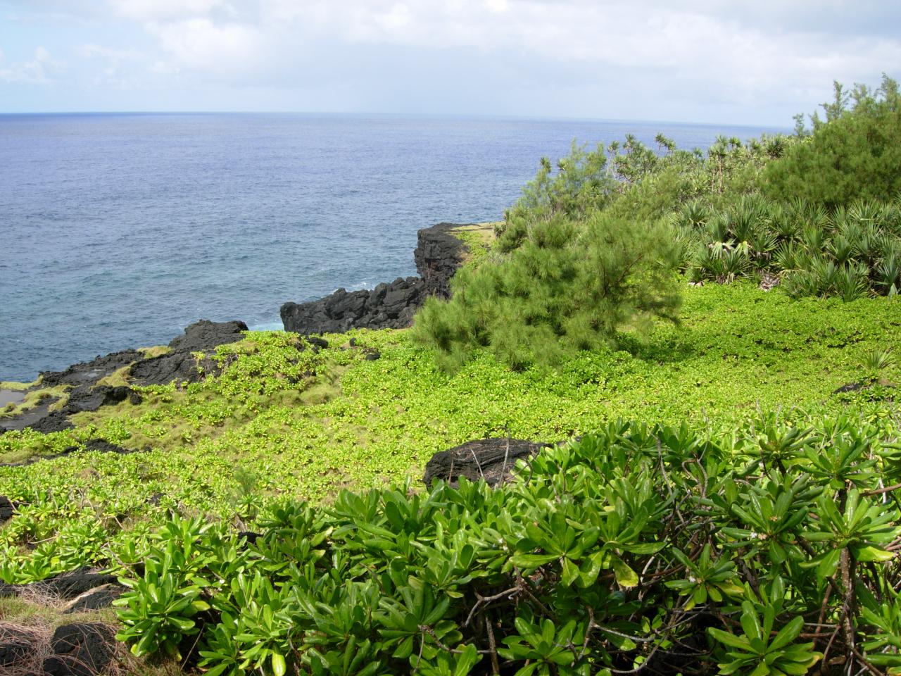 Le littoral entre St Philippe et le puits arabe.