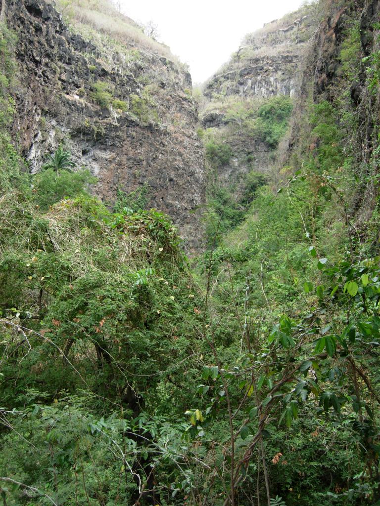 La ravine du Bernica.