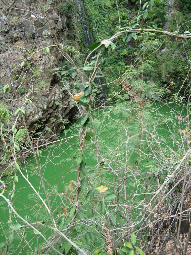 Le Bassin Divon dans la ravine du Bernica.