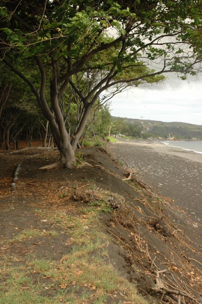 Erosion sur la plage D Helsens