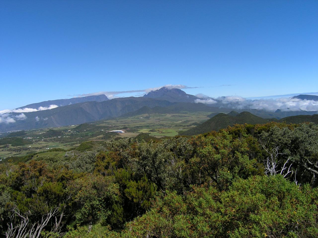 La plaine des cafres avec le piton des neiges