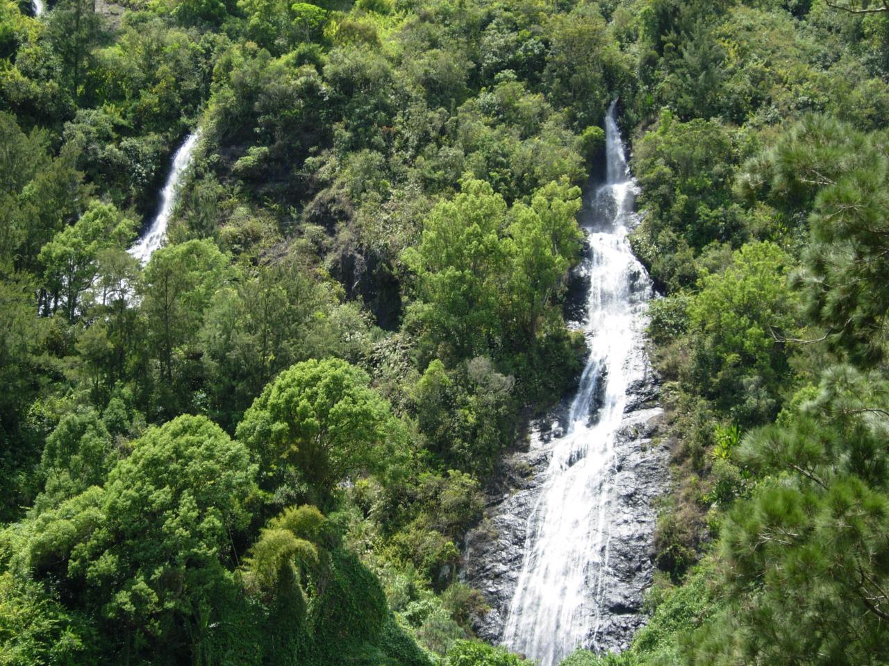 Le voile de la mariée Salazie