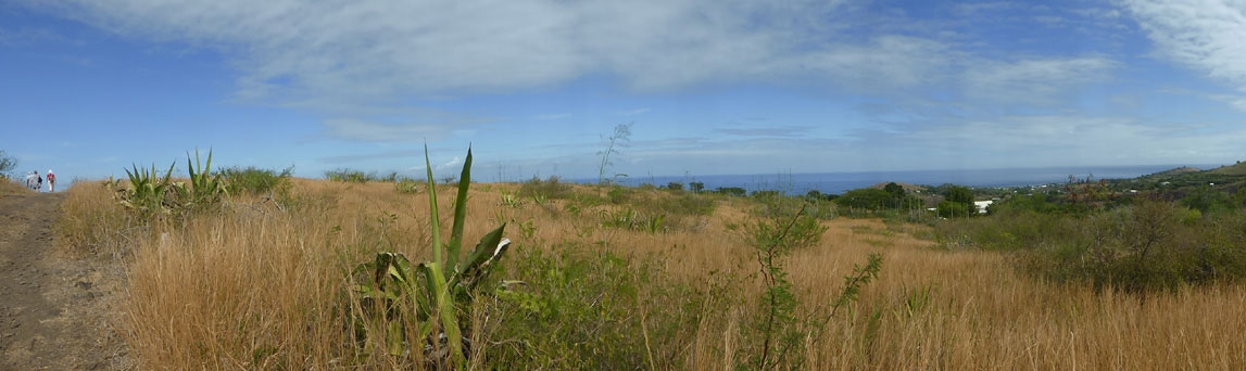 Vue panoramique sur la savane de l'Ouest, Luc Souvet.