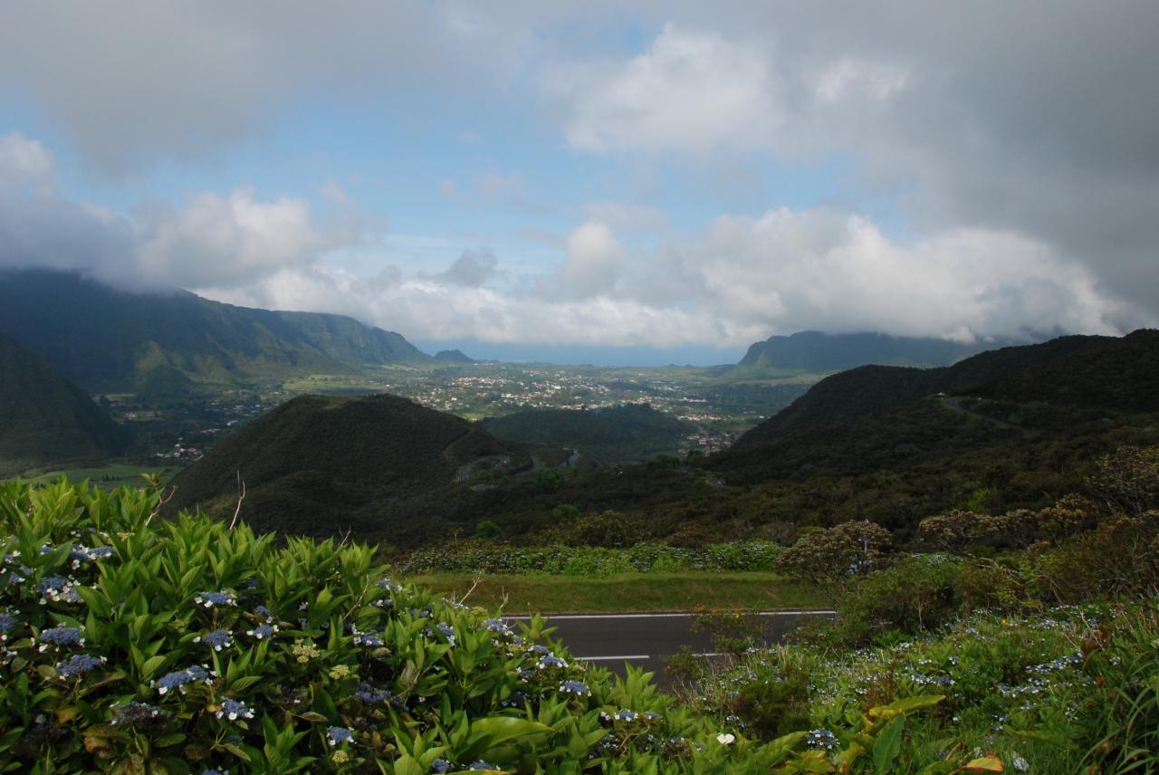 Plaine des Palmistes D Helsens