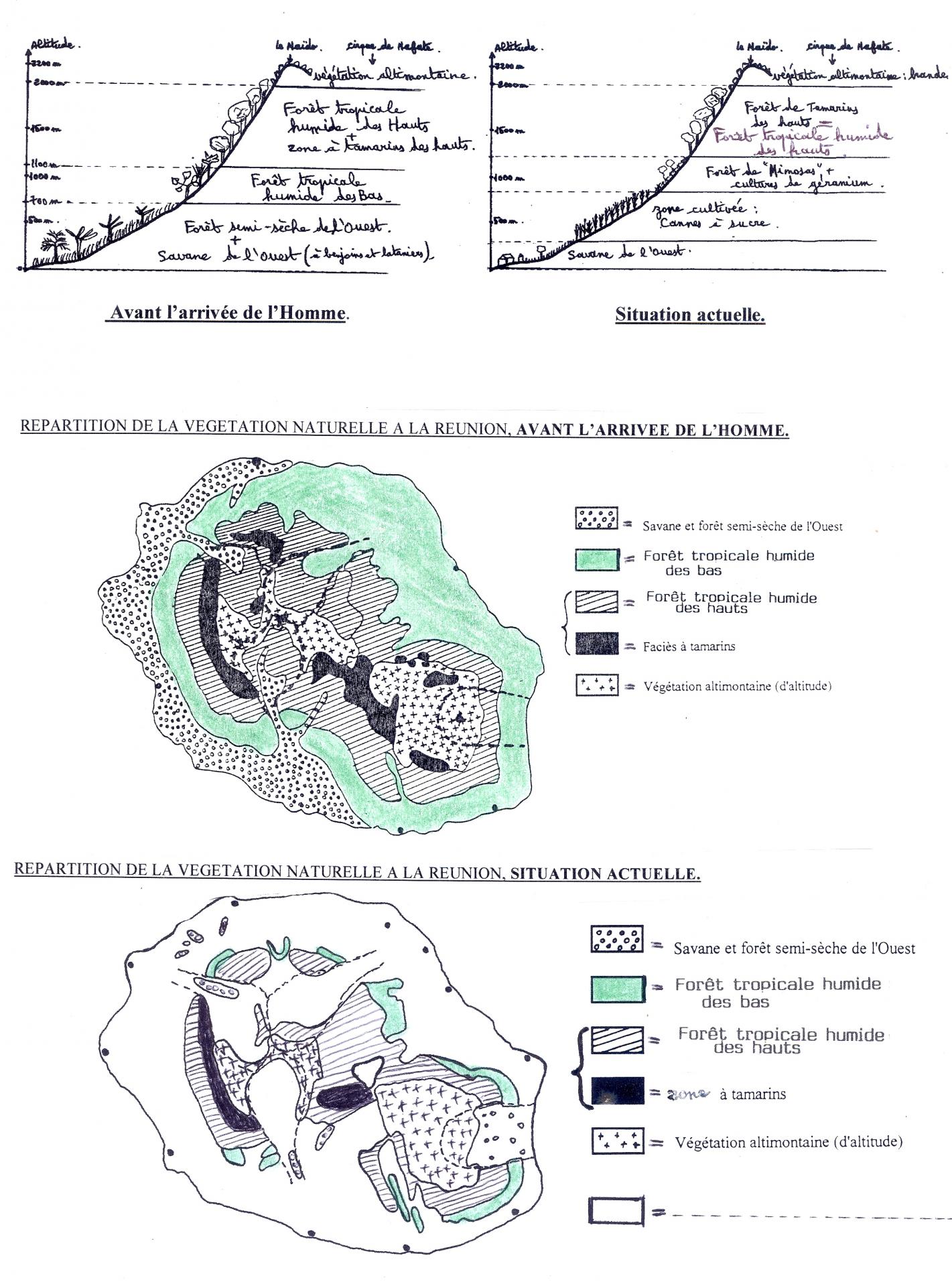 Cartes v g tation avant l arriv e de l homme et actuelle