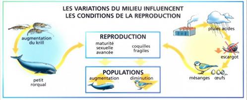 Conditions